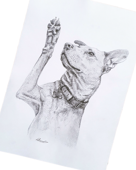 Individuelles Bleistift-Portrait nach Fotovorlage