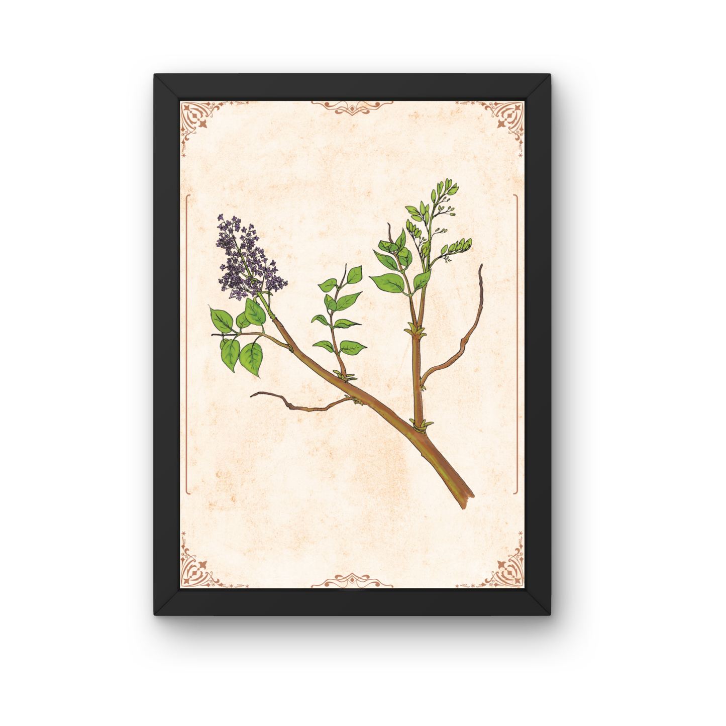 Kunstdruck - Flieder