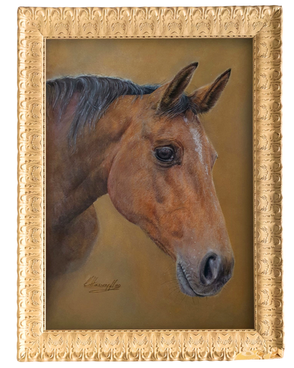 Individuelles Pastell-Portrait nach Fotovorlage