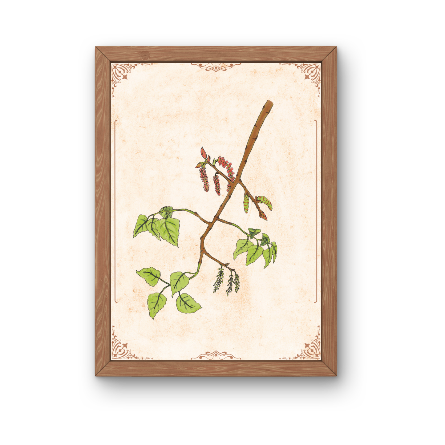 Kunstdruck - Schwarzpappel