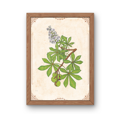 Kunstdruck - Kastanie