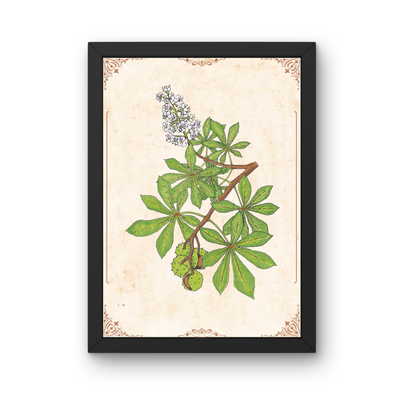 Kunstdruck - Kastanie