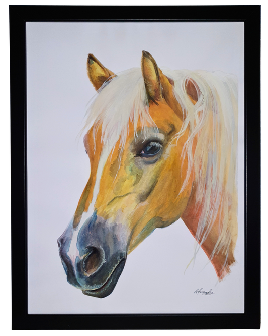 Auftragsarbeit, Aquarell Portrait eines Pferdes als Geschenk für Pferdeliebhaber
