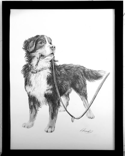 Individuelles Bleistift-Portrait nach Fotovorlage