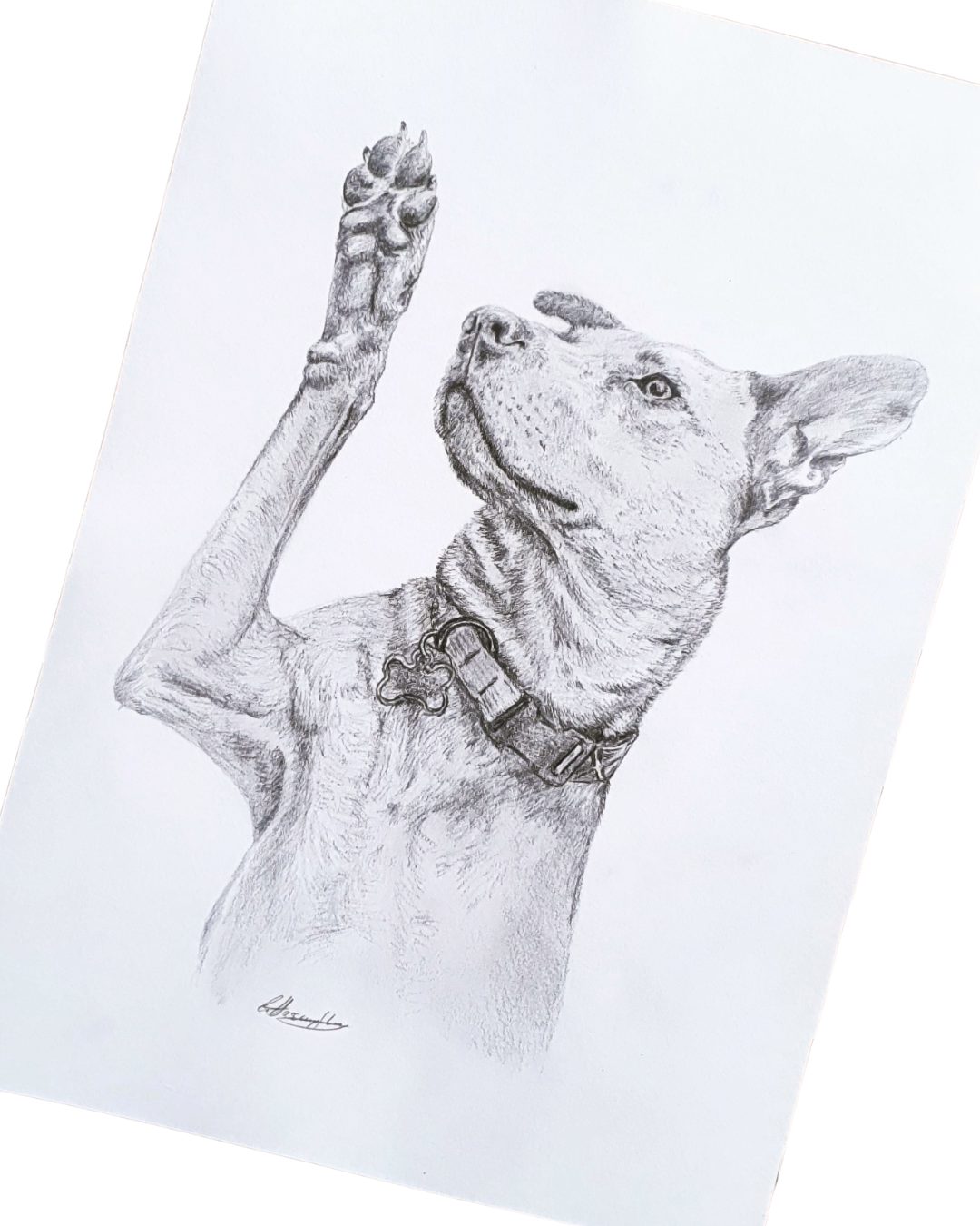 Individuelles Bleistift-Portrait nach Fotovorlage
