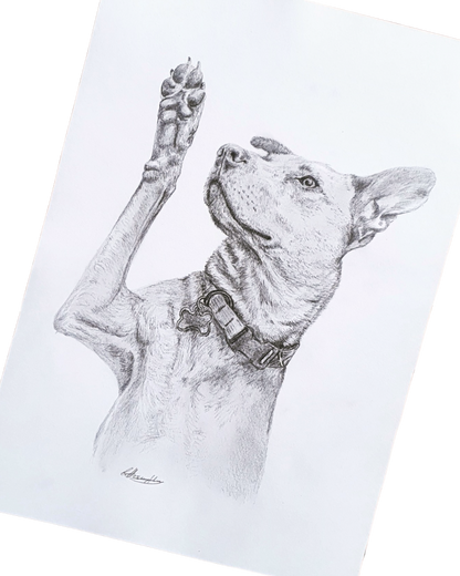 Individuelles Bleistift-Portrait nach Fotovorlage