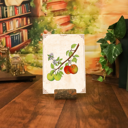 Gerahmtes Apfel-Wandbild als Dekoration in einem hellen Landhaus.
