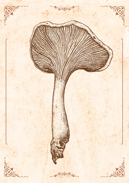 Zeichnung Kunstdruck - Pilz