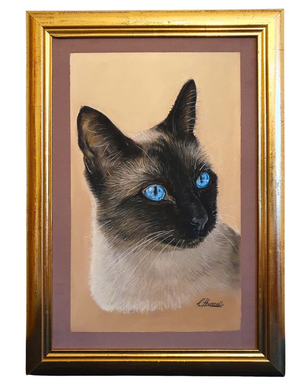 Detailreiche Katzenzeichnung in Pastell nach Fotovorlage