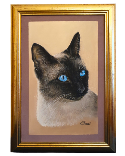 Detailreiche Katzenzeichnung in Pastell nach Fotovorlage