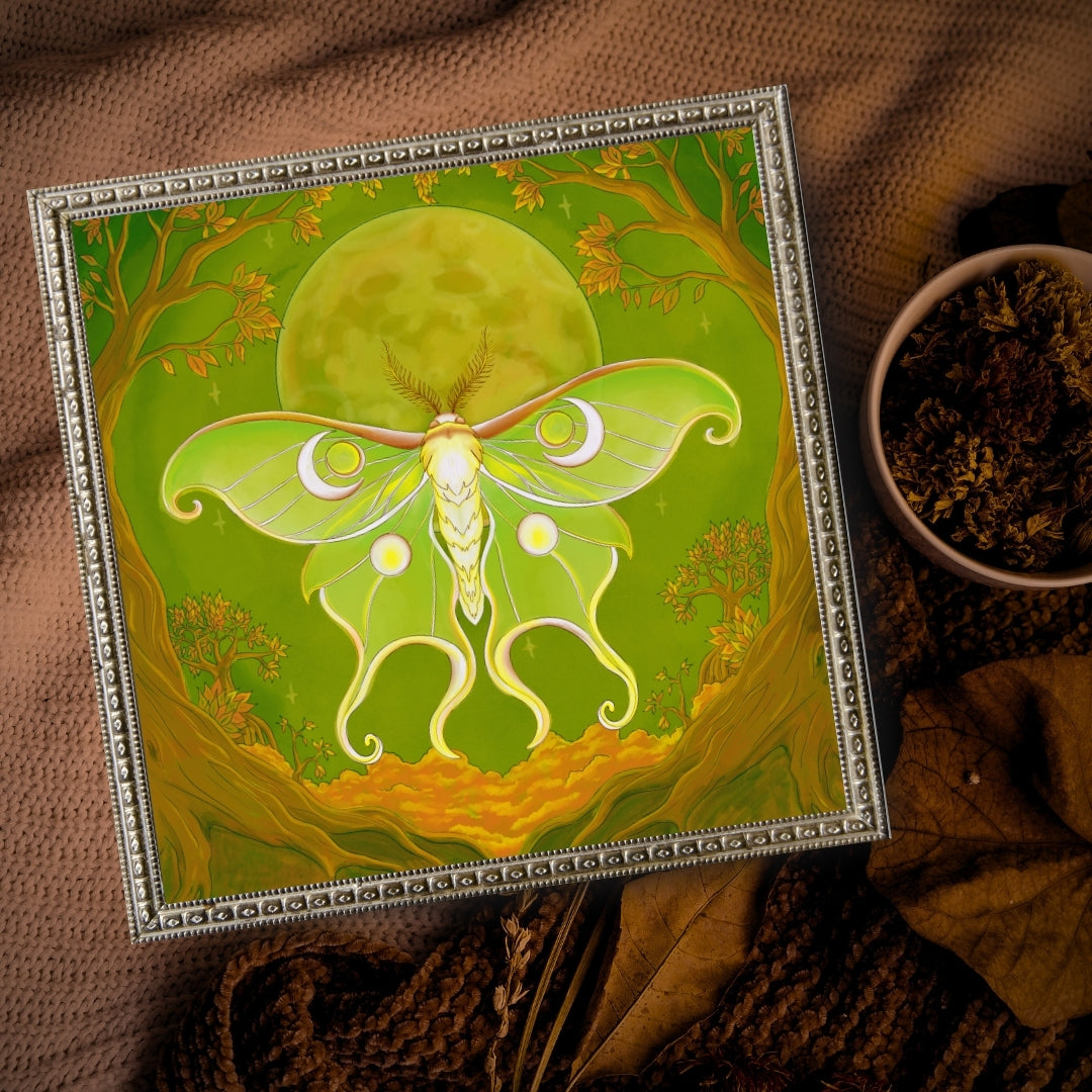 Kunstdruck - Luminia