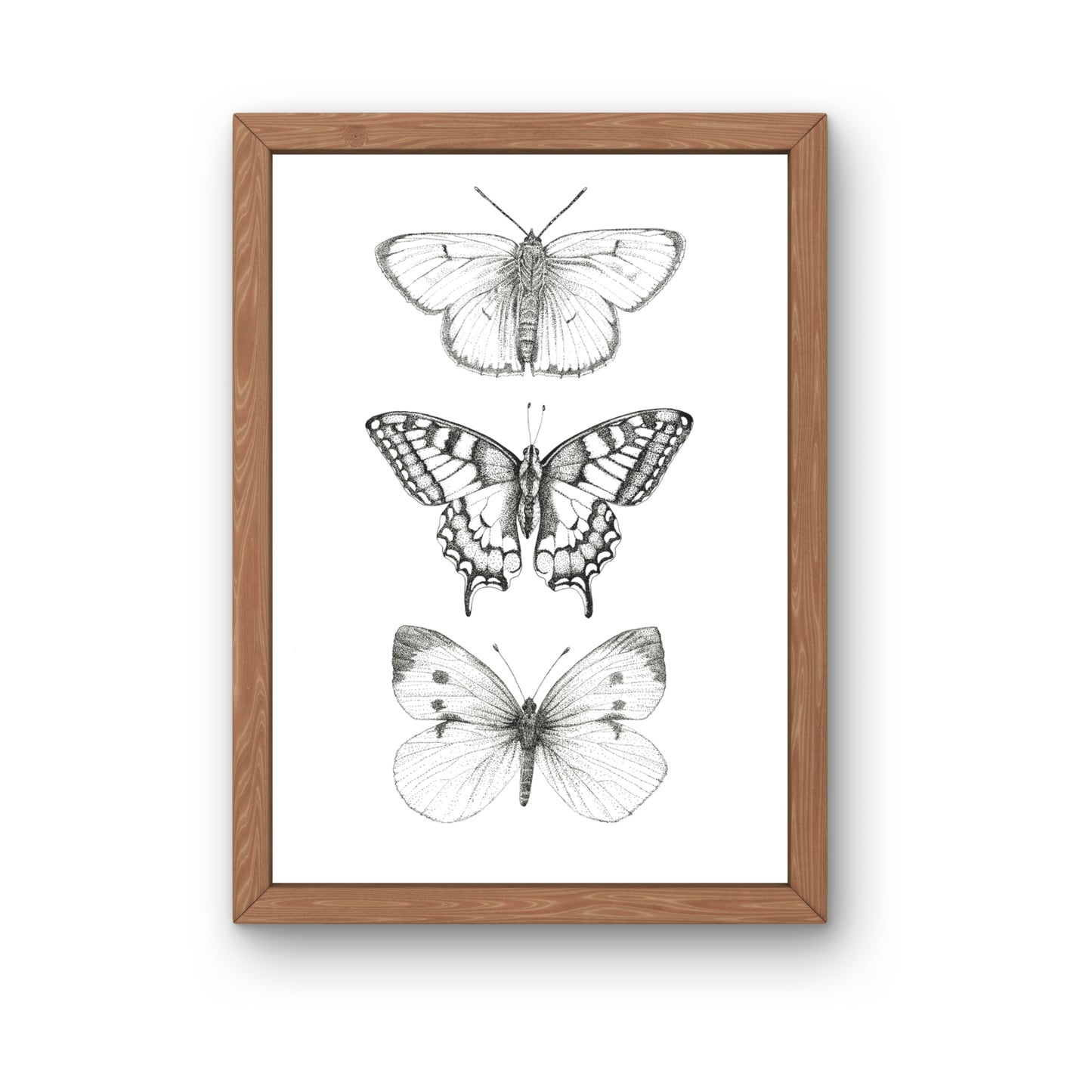 Kunstdruck - Schmetterlinge monochrom