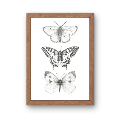 Kunstdruck - Schmetterlinge monochrom