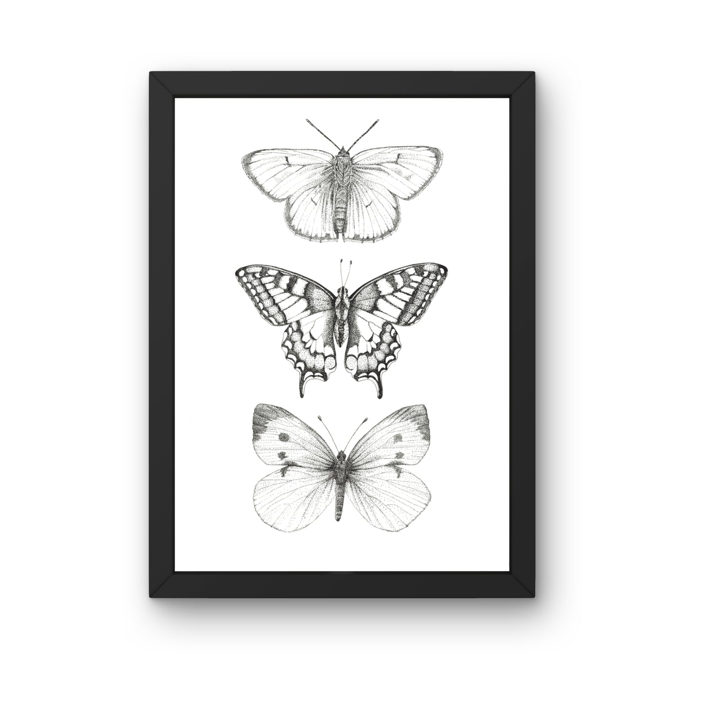 Kunstdruck - Schmetterlinge monochrom