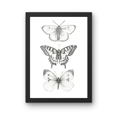 Kunstdruck - Schmetterlinge monochrom