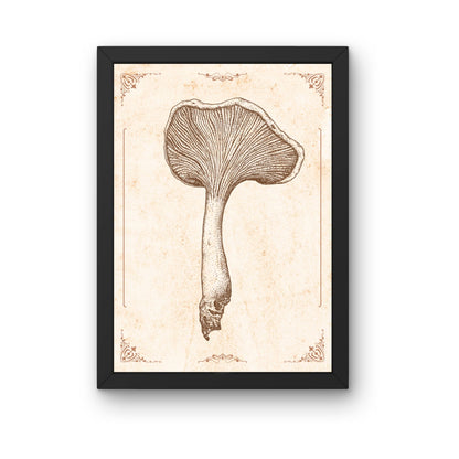 Zeichnung Kunstdruck - Pilz