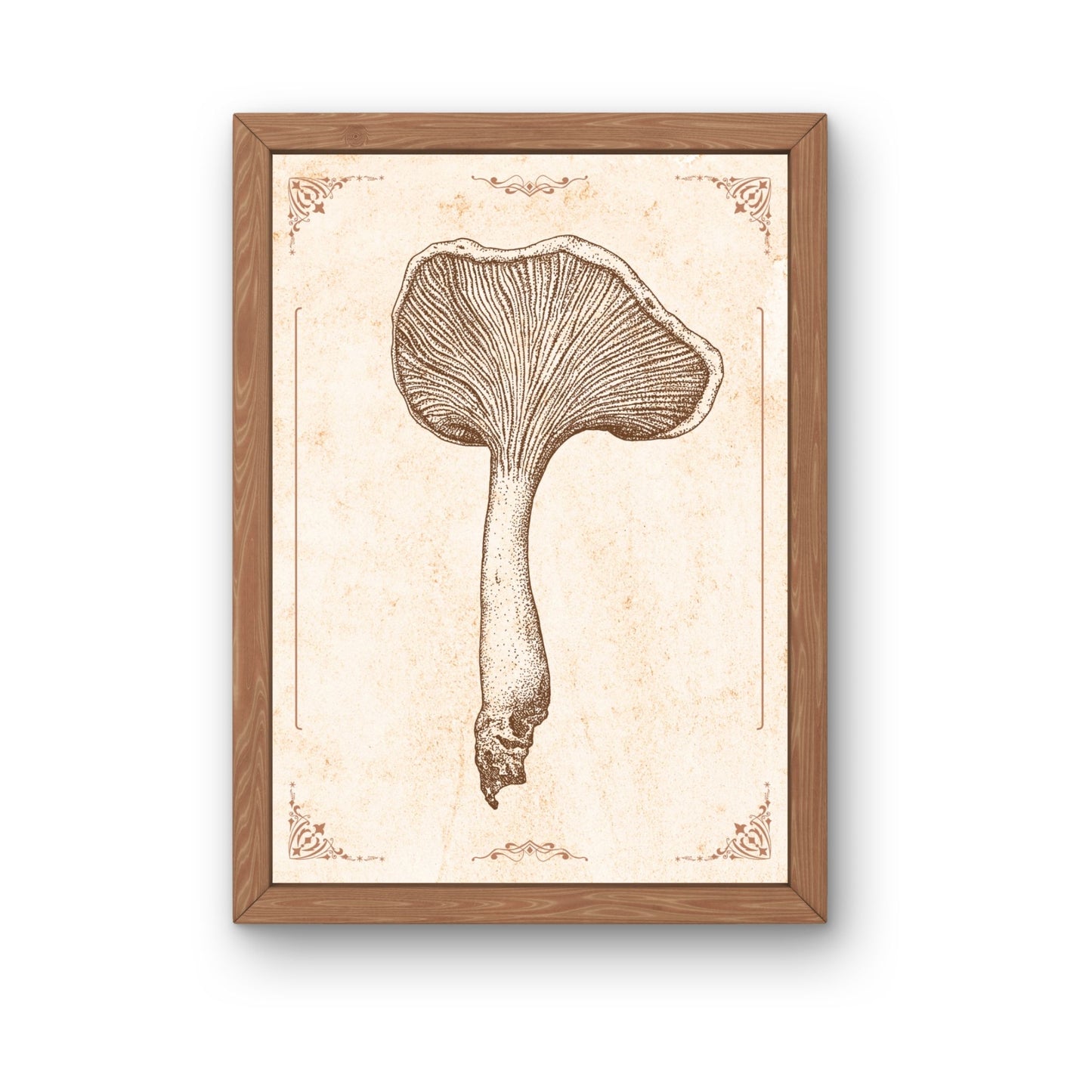 Zeichnung Kunstdruck - Pilz