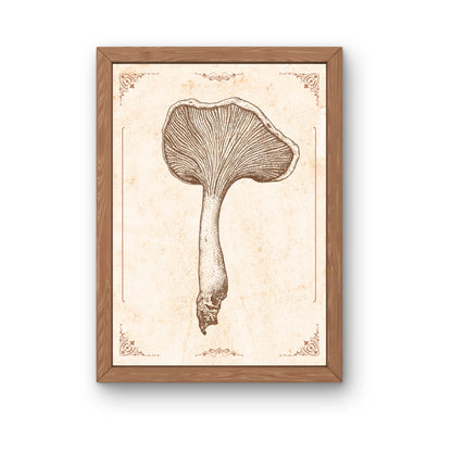 Zeichnung Kunstdruck - Pilz