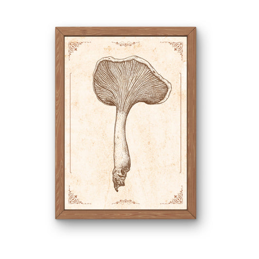 Zeichnung Kunstdruck - Pilz